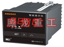 溫度表、數(shù)字顯示儀、濕度表