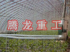 大棚花卉供暖設(shè)備、大棚卉采暖設(shè)備、大棚花卉取暖設(shè)備